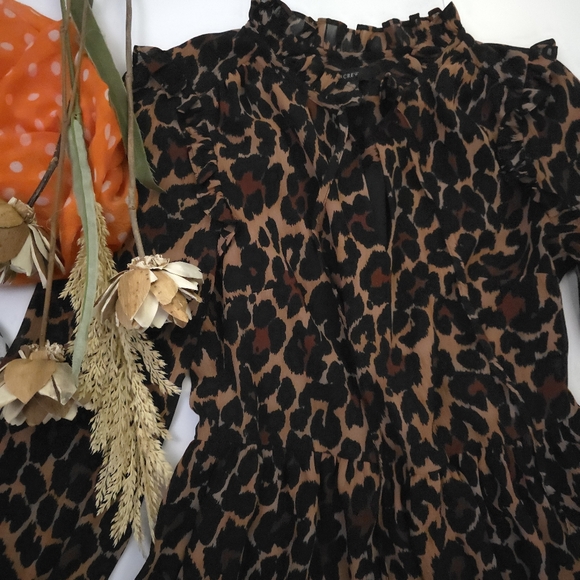 J. Crew Leopard Print Dress Sz XXS - Picture 2 of 9